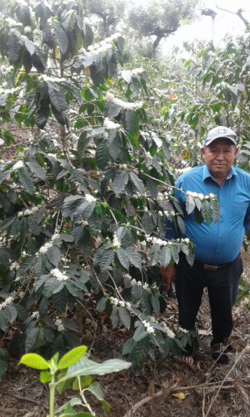 Person standing near plant