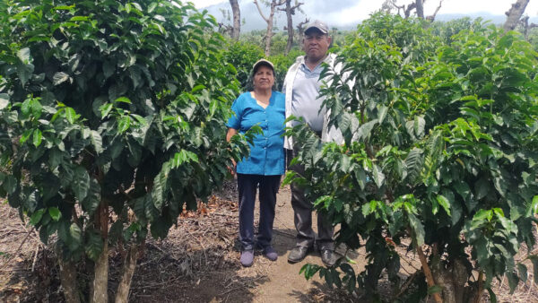 Two people on a farm surrounded by plants